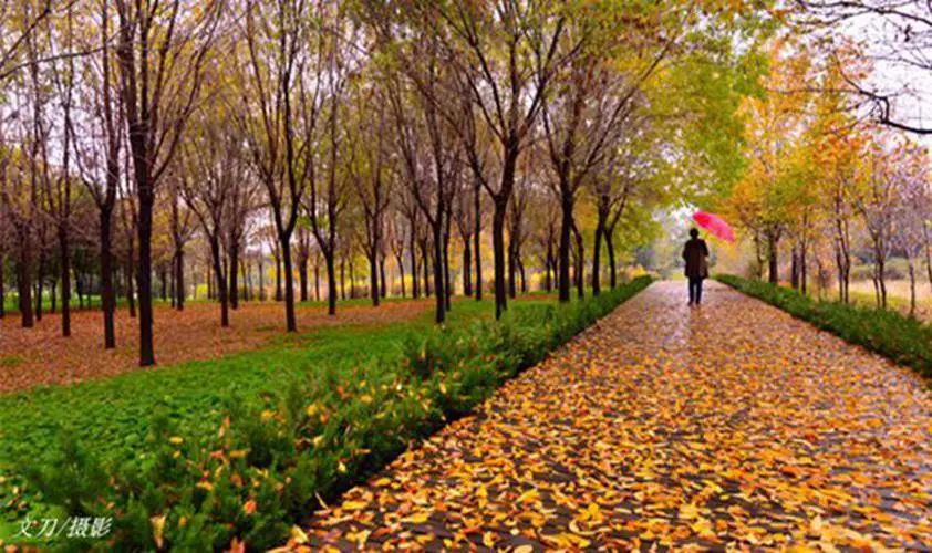 爱上这座灯火璀璨的城市,爱上临沂这座城