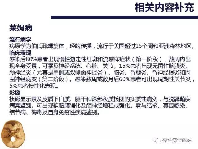 舌下神经和舌咽神经的解剖图,颊神经舌神经解剖图