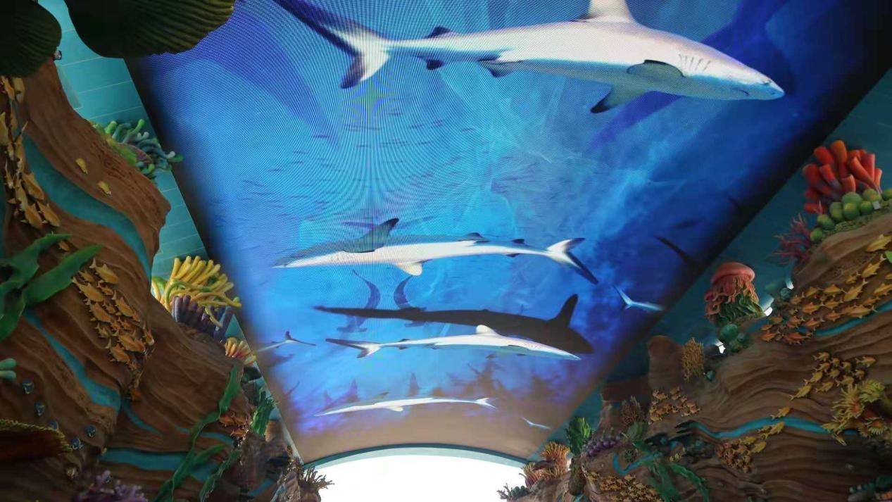 珠海长隆一天游玩攻略手写,珠海长隆游玩攻略免排队