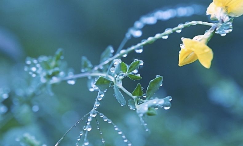 寒露古诗词名句,古诗寒露七言诗句