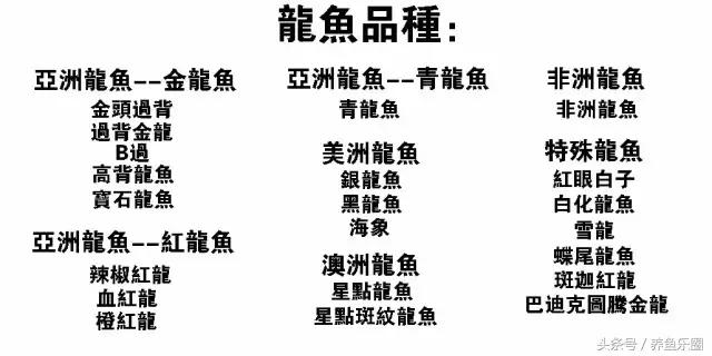 龙鱼品种大全图解,龙鱼到底是什么品种的鱼