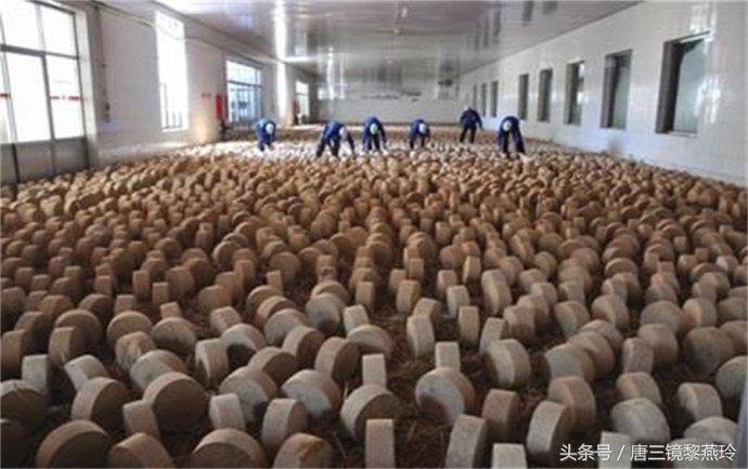 唐三镜酒好喝不上头,唐三镜酒好不好