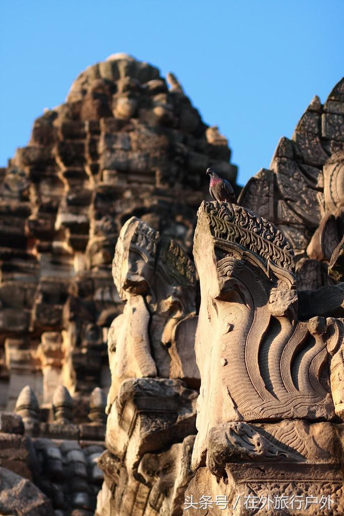 不去普罗旺斯和柬埔寨,千元飞到泰国看最美向日葵田和高棉遗址