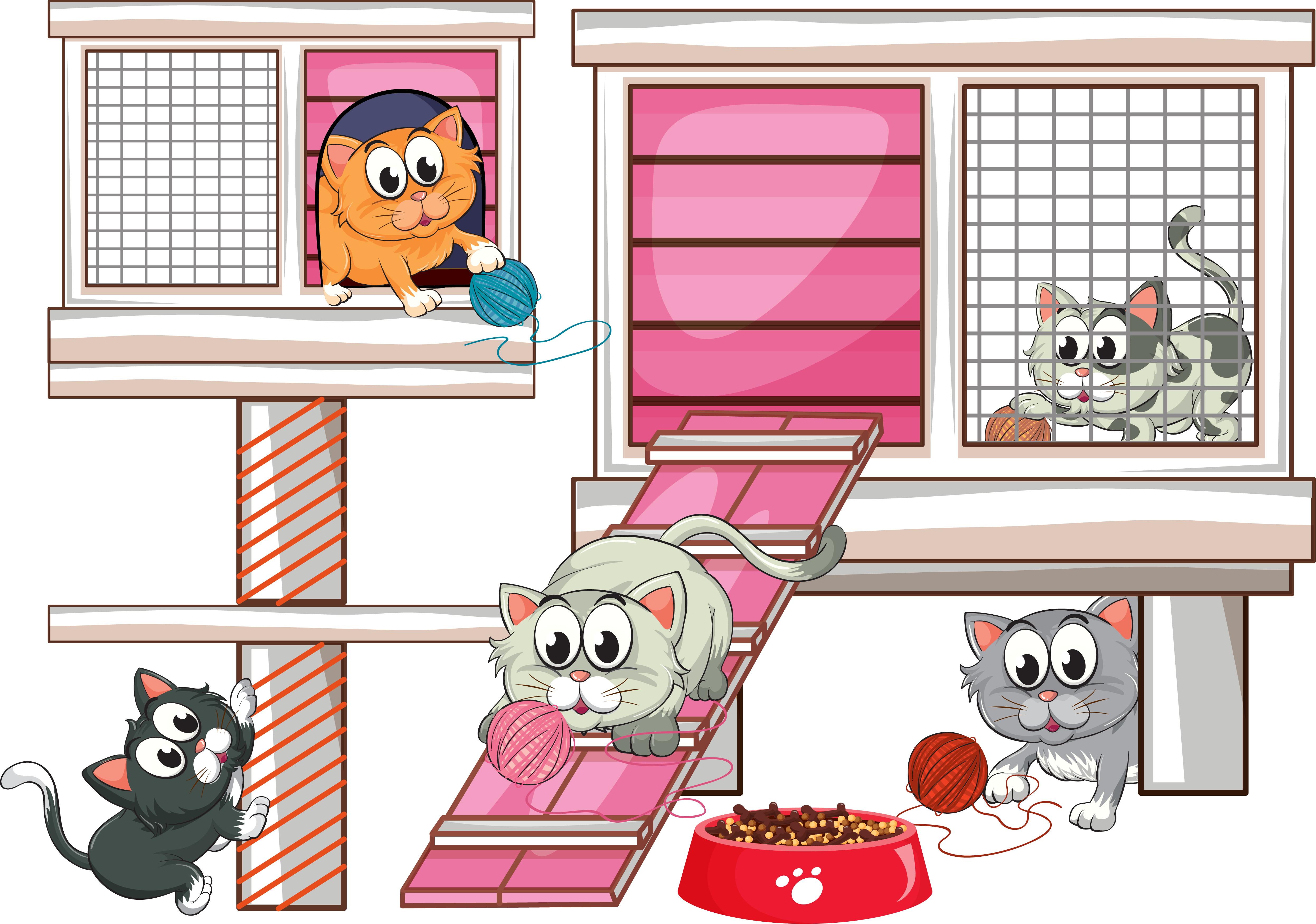 猫舍和宠物店到底有什么区别呢,libby猫舍和雪mm猫舍哪个好