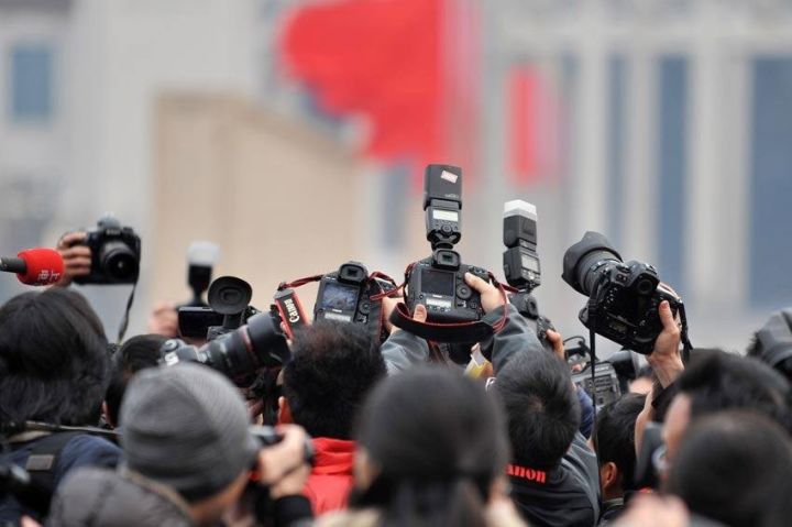 中国锦鲤2020,中国锦鲤后续走势