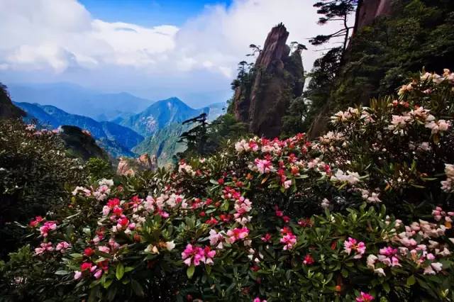 江西省中国十大名山,江西省十大名山最新排名