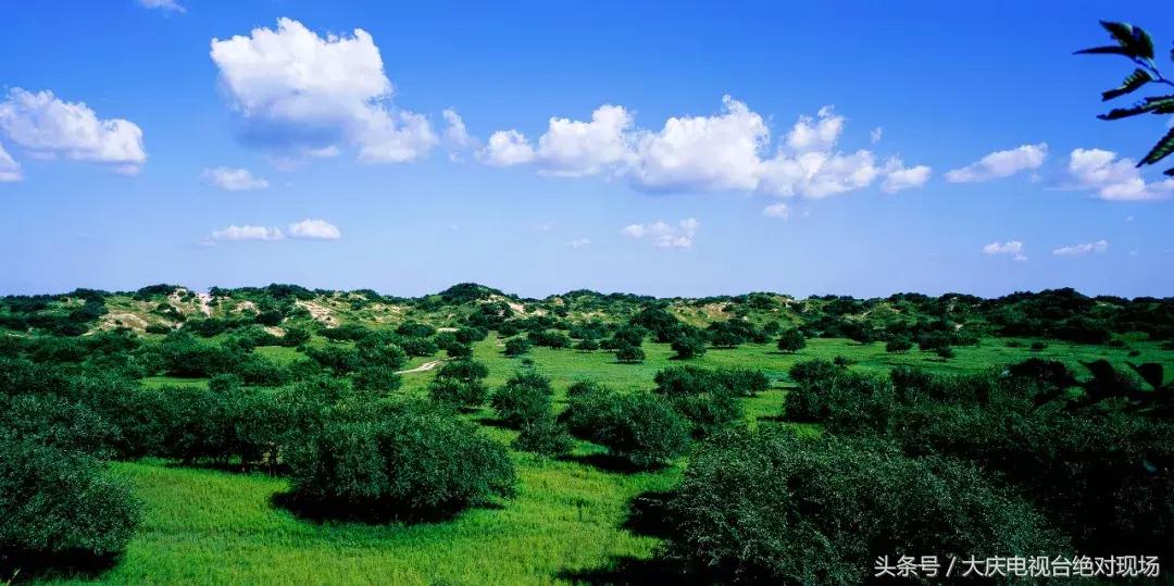 大庆这个城市未来会有发展吗,大庆哪个县发展潜力大