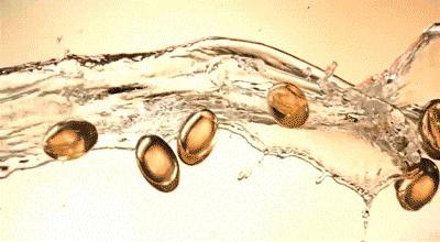 23岁脱发严重m型脱发怎么拯救,脱发斑秃脂溢性脱发