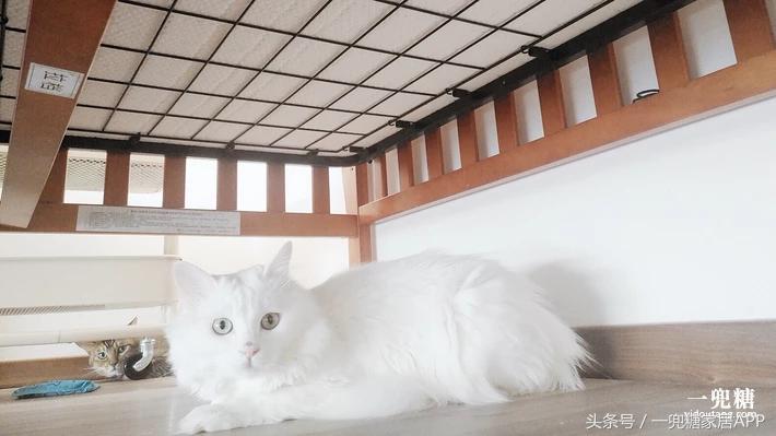 五口之家的房间,五口之家60平复式