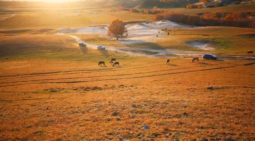草原风光宛如油画 (呼伦贝尔大草原美图)