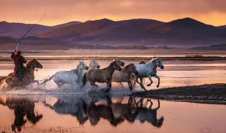 草原风光宛如油画 (呼伦贝尔大草原美图)