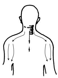 中医刮痧疗法二十一穴,张秀勤教你中医刮痧之面部刮痧