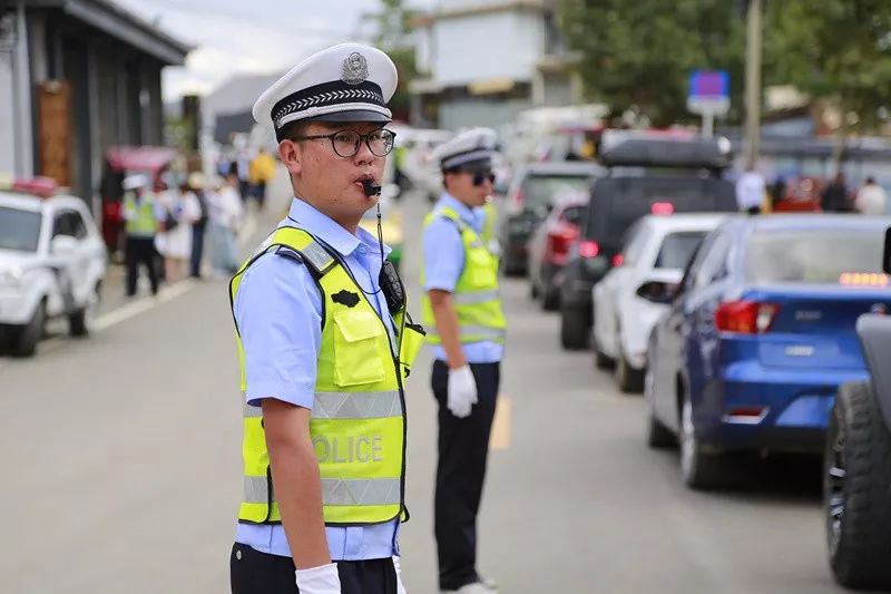 大理市社会治安严打,大理市治安情况