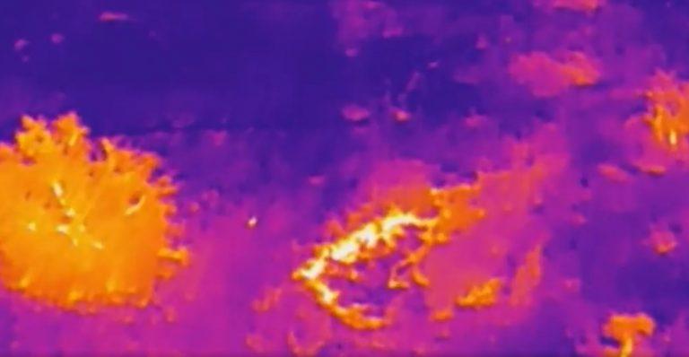 无人机助力现代化农业,植保无人机助力病虫害治疗