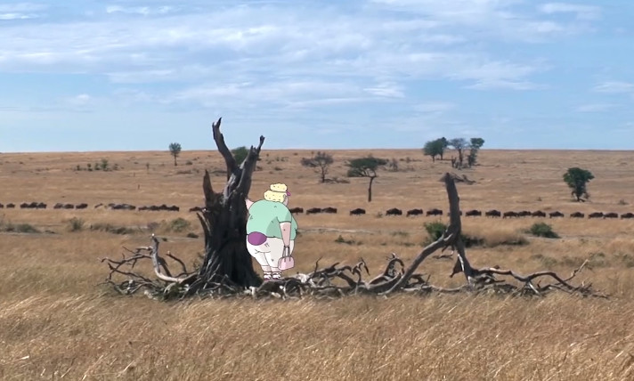 奥斯卡最佳动画短片2022拳击芭蕾,适合儿童看的奥斯卡最佳动画短片