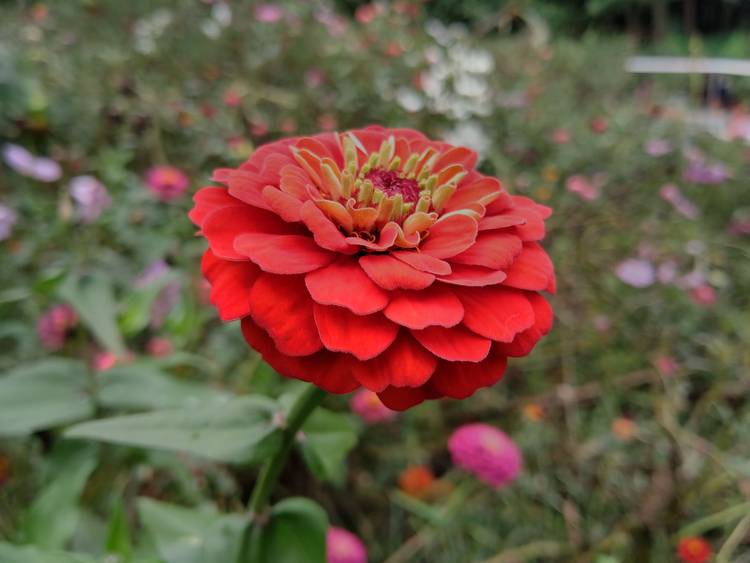 360手机n7pro测评,360n7pro跟哪款手机对比功能