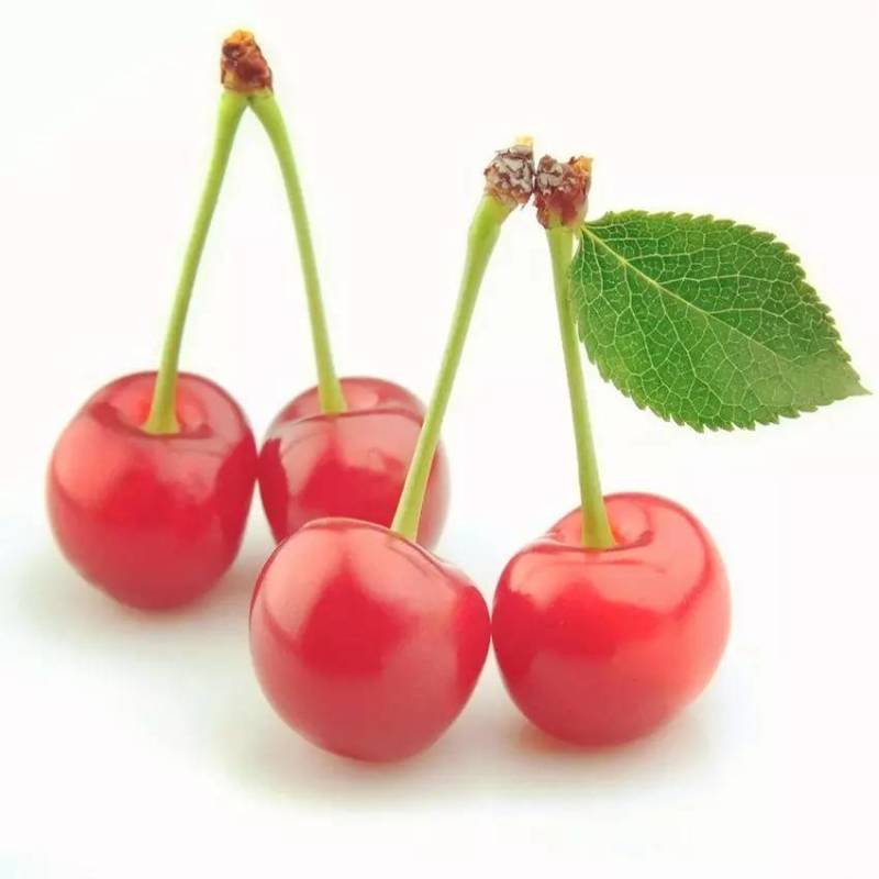 英语水果手抄报简笔画,紫色水果有哪些简笔画