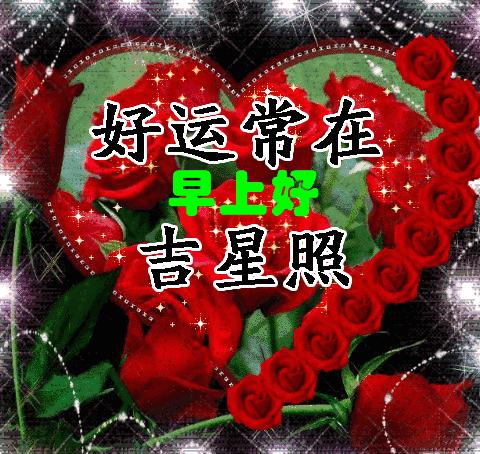 花开久久早安问候语,早安好运久久的句子