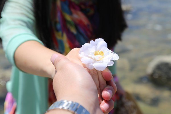 小夫妻的自由行，三亚美食美景全攻略