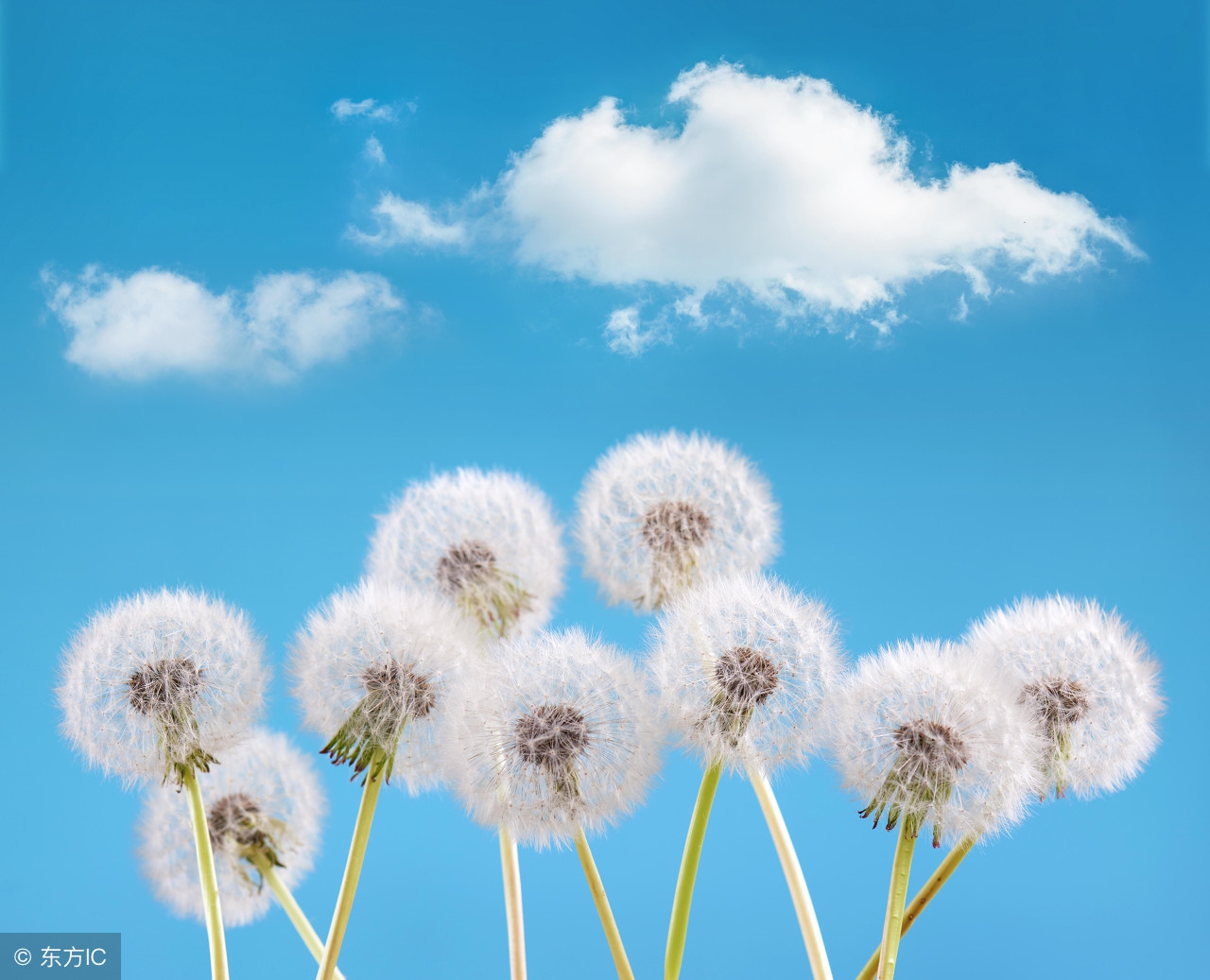 20句正能量语录,英文每日一句正能量的话