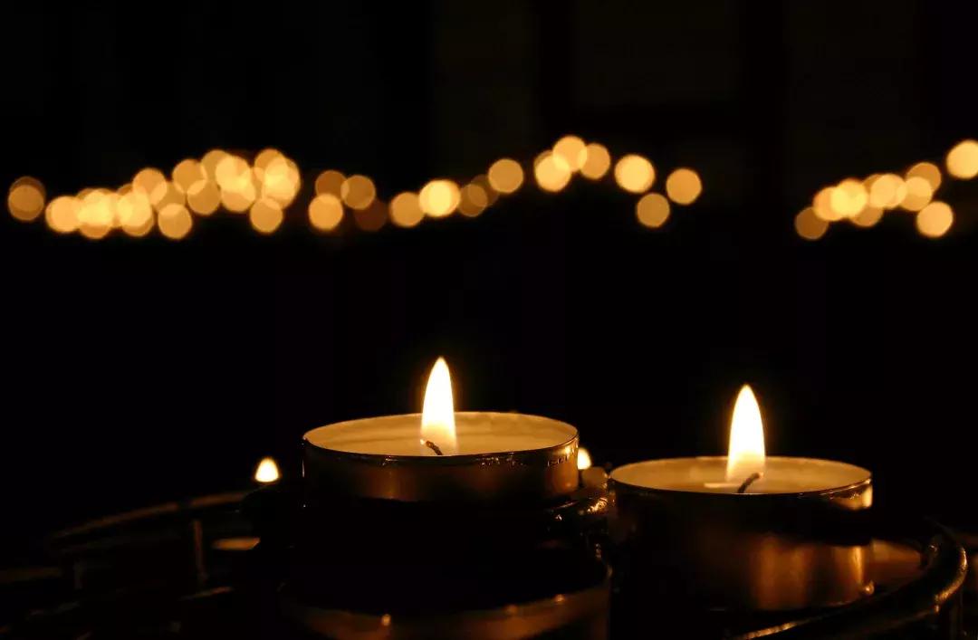 一夜暴富的中国锦鲤如今怎么样了,一夜暴富中国锦鲤现状引热议