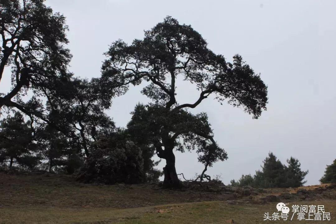 富民赋,富民产业赋能乡村振兴