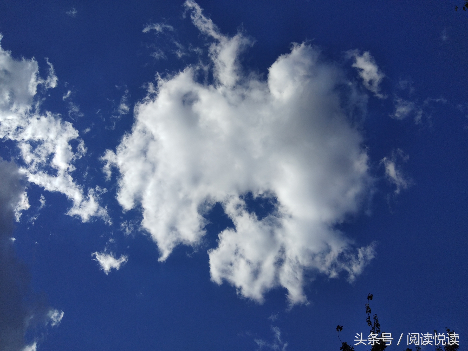 夏天的安国药博园,五一安国药都药博园