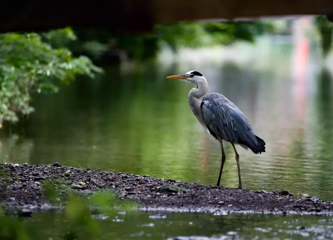一台高性能笔记本能给你带来什么,便携笔记本电脑摄影