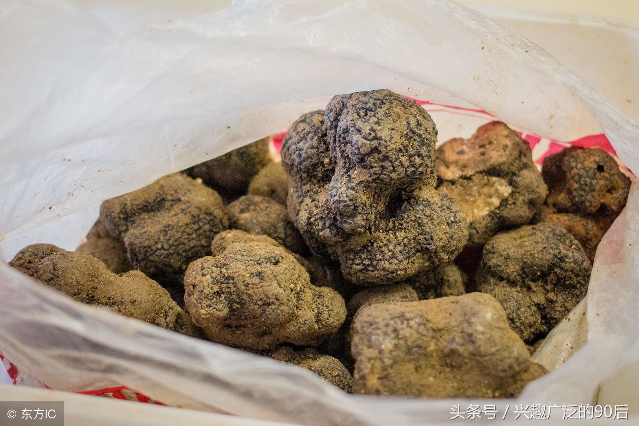 这几种去法国必购的特产,你知道几种?收集法国各地的名物