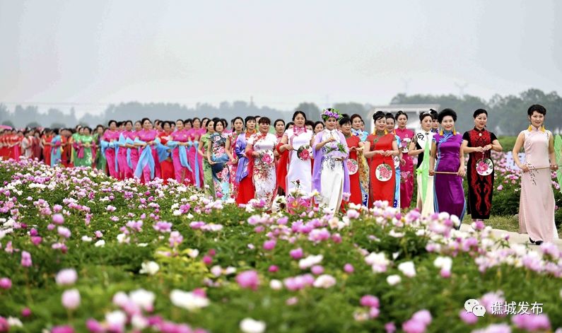 谯城区最美乡村,谯城区美丽乡村图集