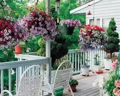 花园洋房阳台设计,阳台打造成小花园