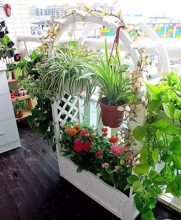 花园洋房阳台设计,阳台打造成小花园