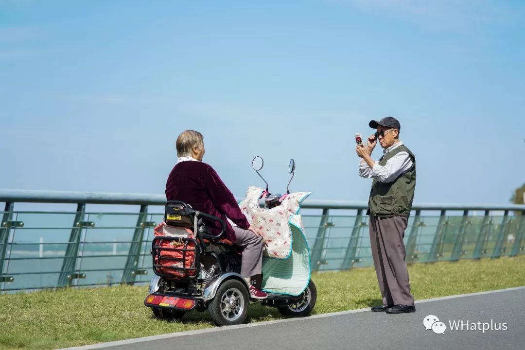 武汉汉口江滩芦苇花,秋高气爽去汉口江滩赏花