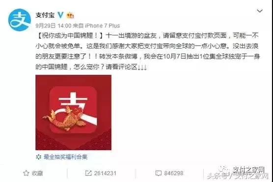 支付宝中国锦鲤规则,支付宝的锦鲤活动是真的吗