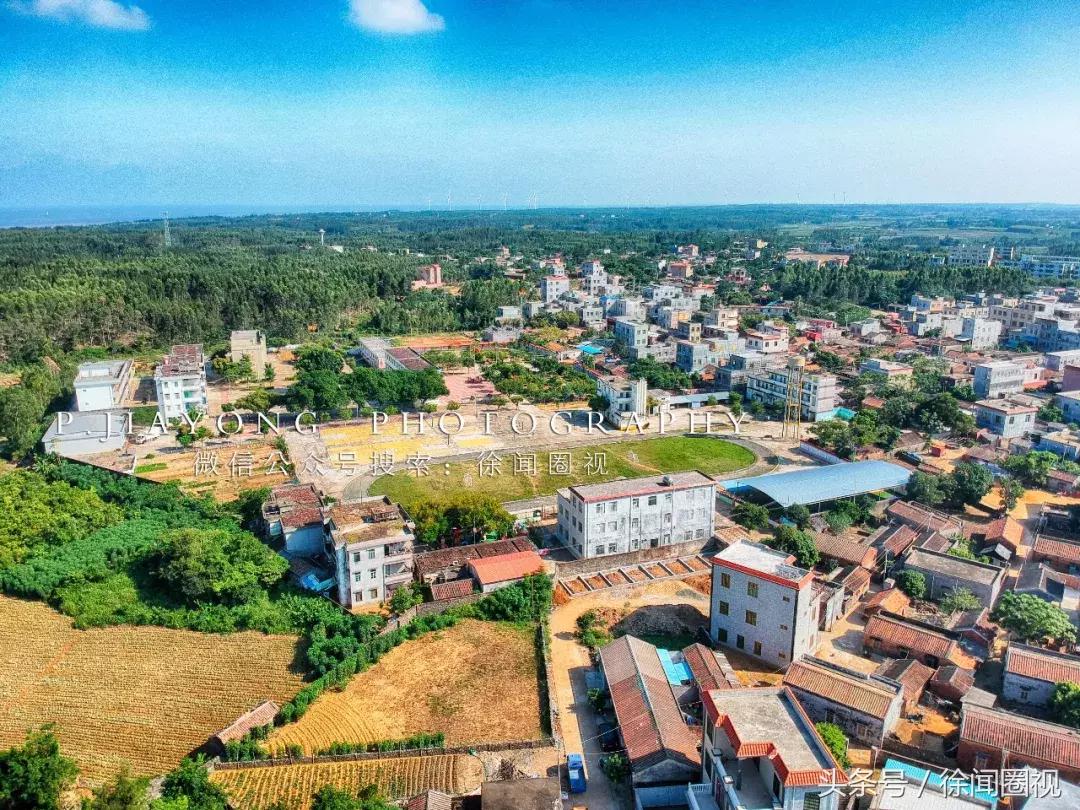 徐闻县下洋镇乡村振兴工程,湛江徐闻下洋镇新农村建设
