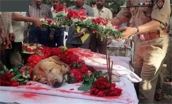 世界这么大你怎么不去看看动图,世界那么大我们到处去看看