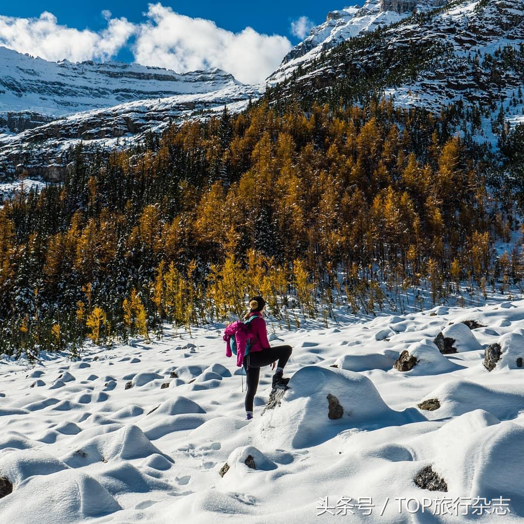 包吃包住包机票出国打工,包吃包住包接送旅游