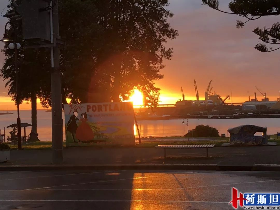 7000头“澳妞儿”登陆天津港创2018荷斯坦奶牛单批进口之最