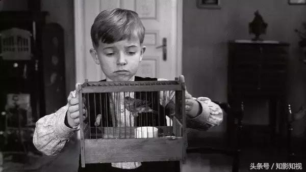 十大文艺电影排行榜,十部文艺的经典电影