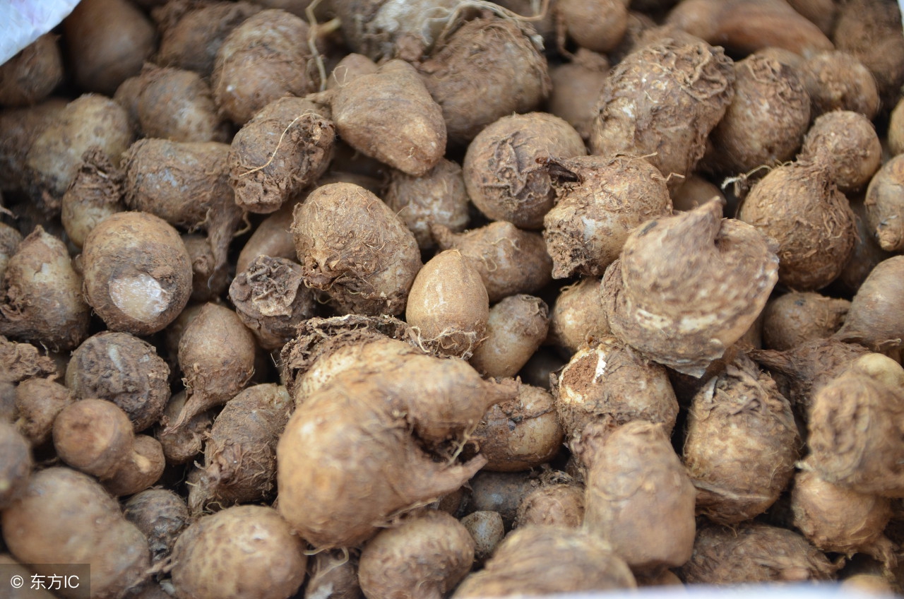 半夏，燥湿化痰，降逆止呕，消痞散结