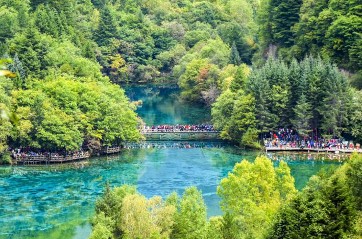 九寨和黄龙旅行,九寨黄龙峨眉乐山