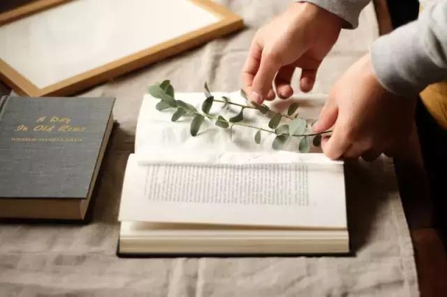 干花工艺画教程,干花做标本画