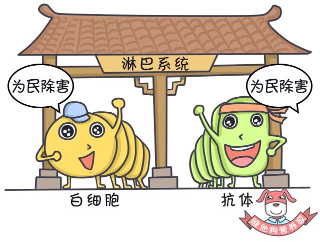 足贴、清肠丸、大麦若叶真的有效吗？揭秘朋友圈9大排毒网红