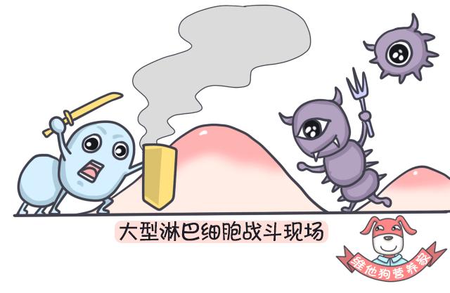 排毒瘦身足贴,足贴正品祛湿气排毒减肥测评