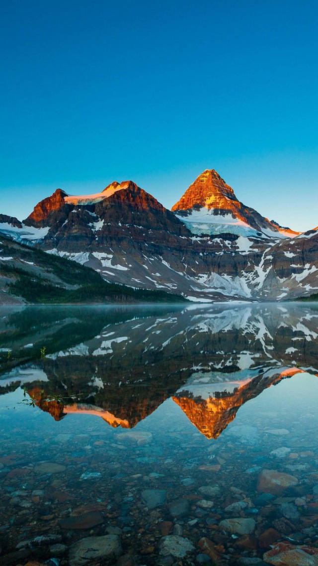 人生理想是什么该怎么实现,人生理想是什么