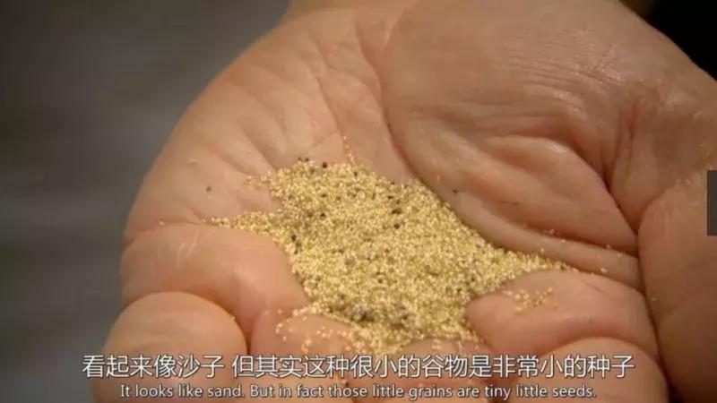 世界上最不健康的饮食习惯,我们有没有不健康的饮食习惯