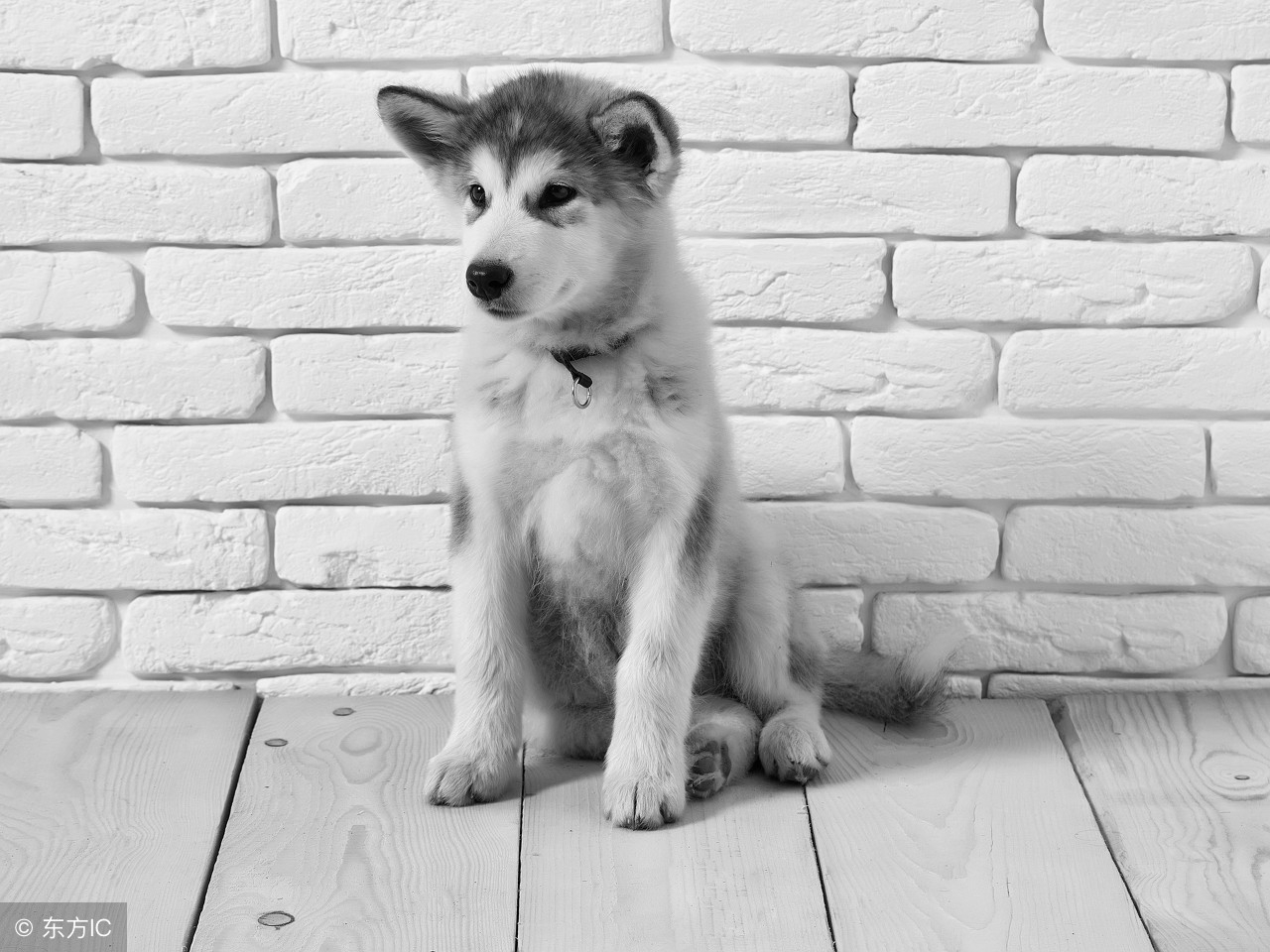 我的世界你来过,我的世界你来过原唱