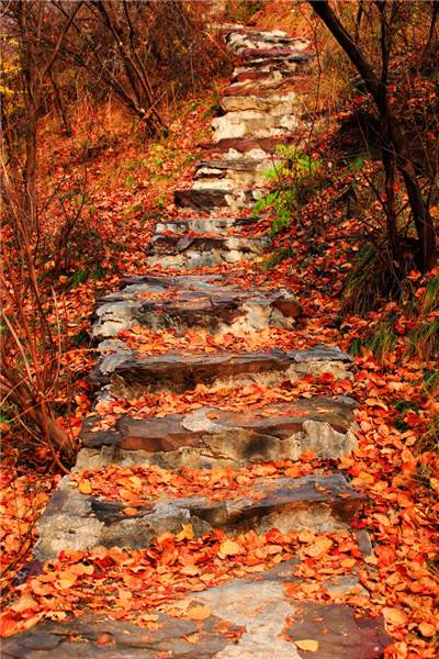 爨底下自驾游,爨底下村旅游路线