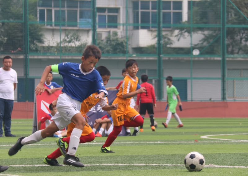 金马镇看足球的地方,金马足球