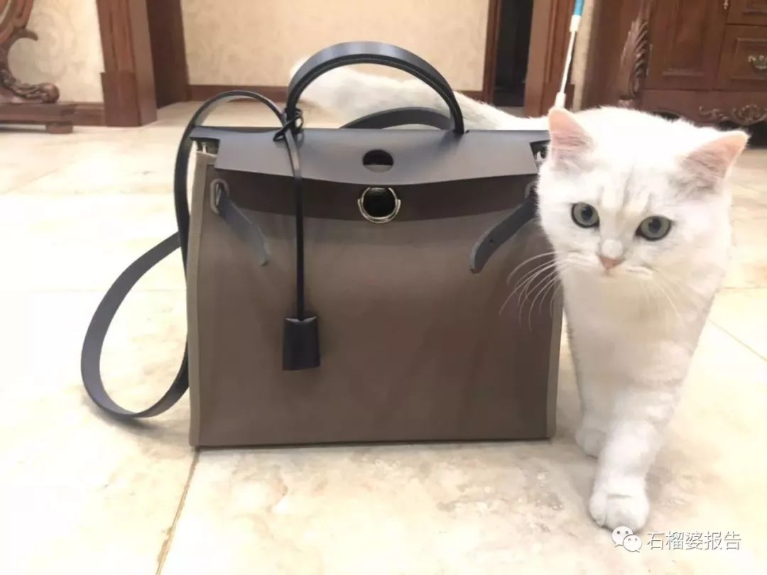 celine包包1万左右推荐,包包价格比价